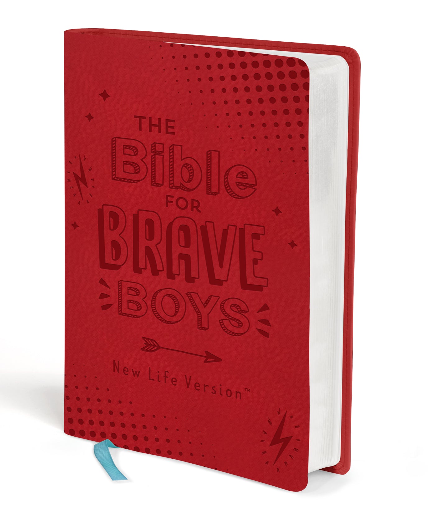 The Bible for Brave Boys